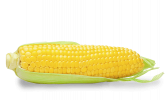 corn-oil-low