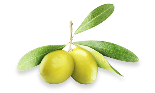 Flaunt All Natural Olive Oil (bulk)