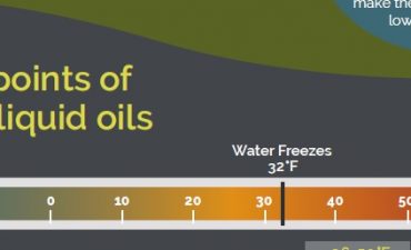 What Happens When Oil Freezes