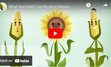 What Does Non-GMO Certification Really Mean?