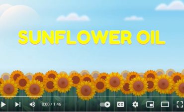 Sunflower Oil 101